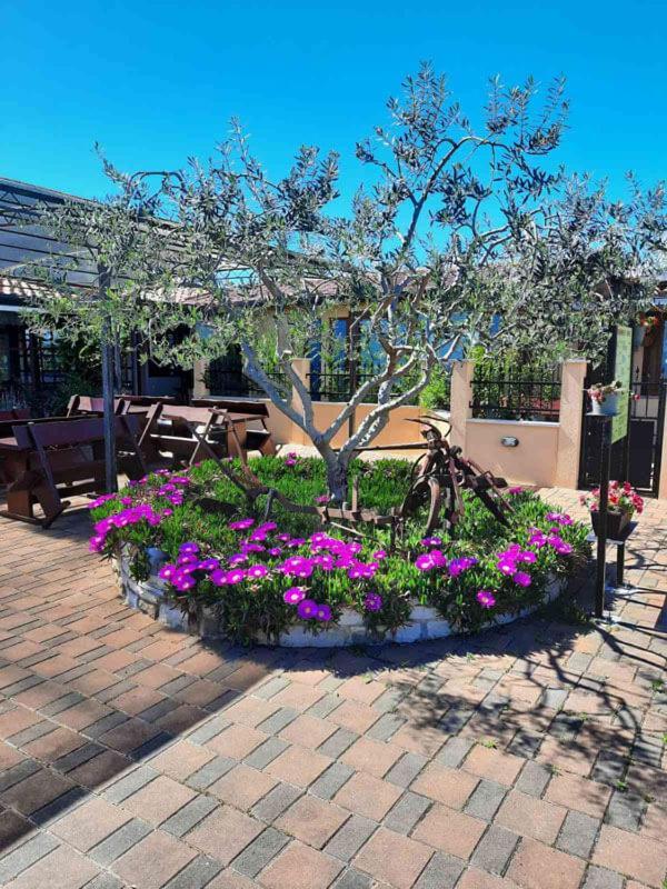 Monte App 4 Apartment Umag